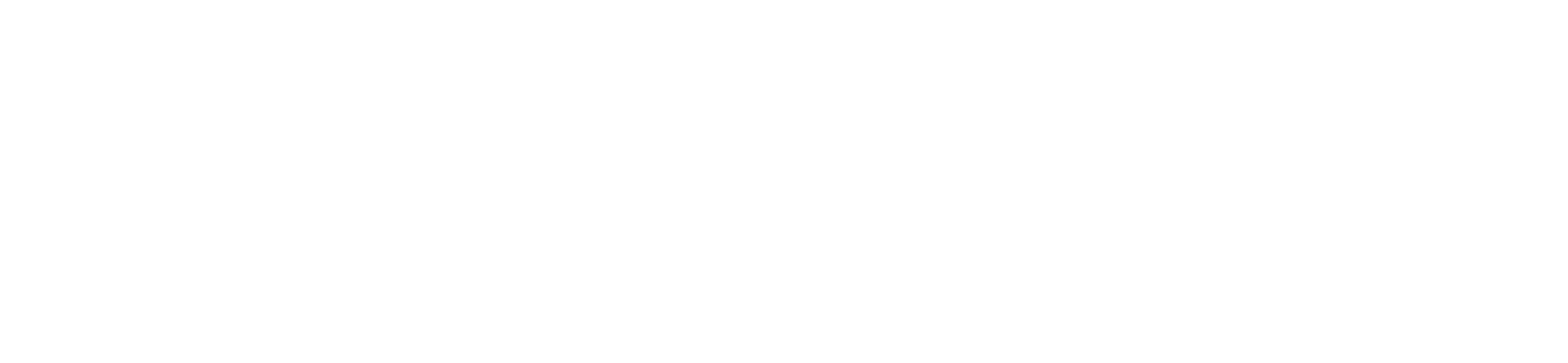 zuboshi lab